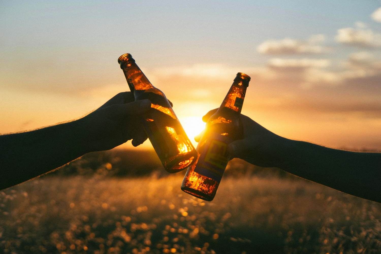 Nachhaltiges Bier: öko und sozial